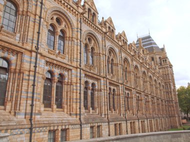 Doğal Tarih Müzesi, Londra, İngiltere