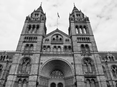 Doğal Tarih Müzesi, Londra, İngiltere
