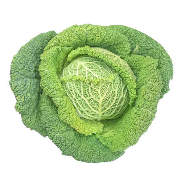 孤立的绿色白菜 — 图库照片