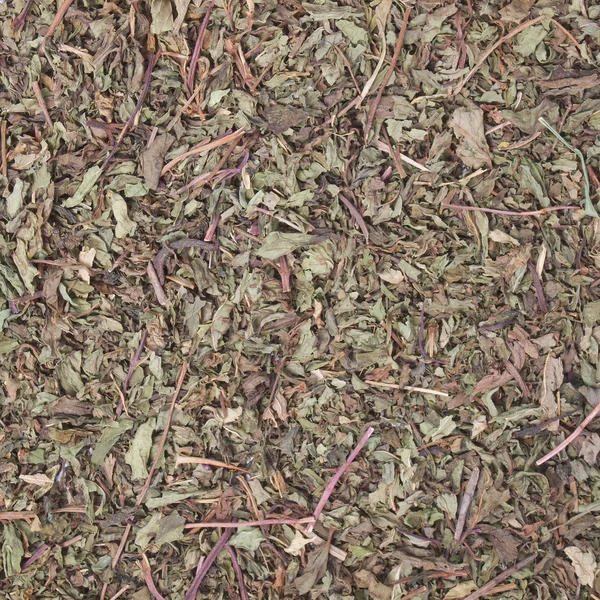 Dried peppermint — Stock Photo, Image