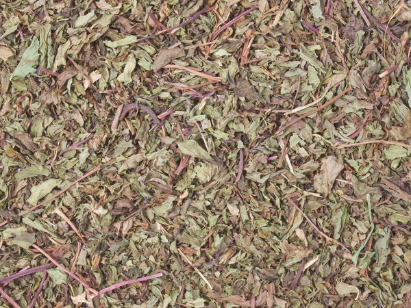Dried peppermint — Stock Photo, Image