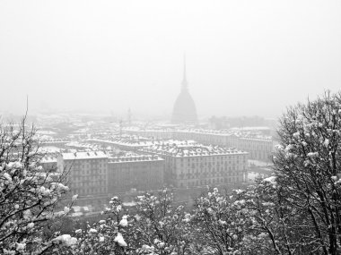 Turin view clipart