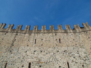Castello Medievale, Turin, Italy
