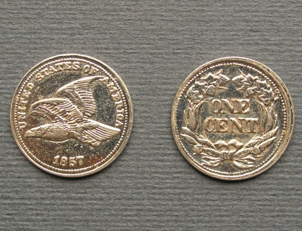Obraz moneta — Zdjęcie stockowe