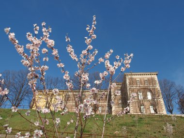 Castello di Rivoli, Italy clipart