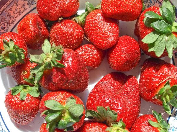 stock image Strawberries