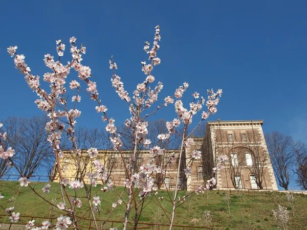 Castello di Bari, Itálie — Stock fotografie