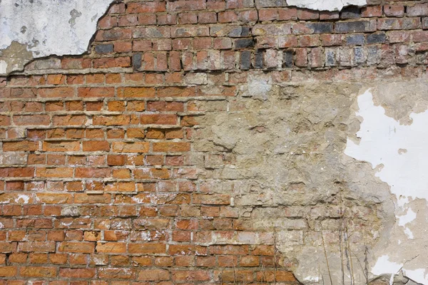 stock image Brick wall