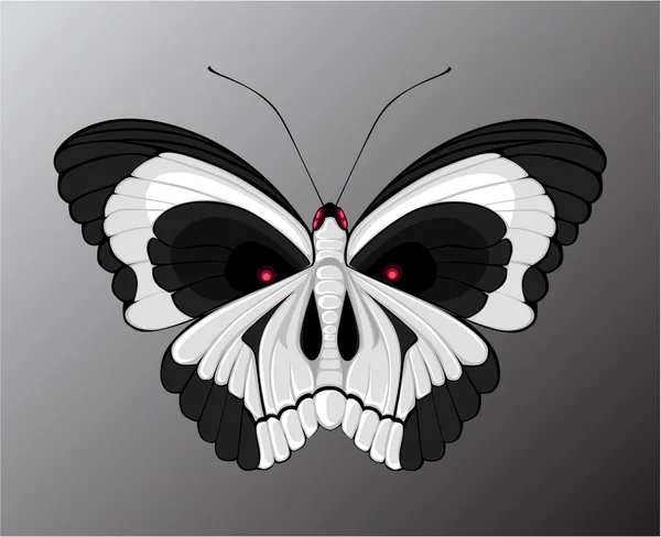 Farfalla del cranio — Vettoriale Stock