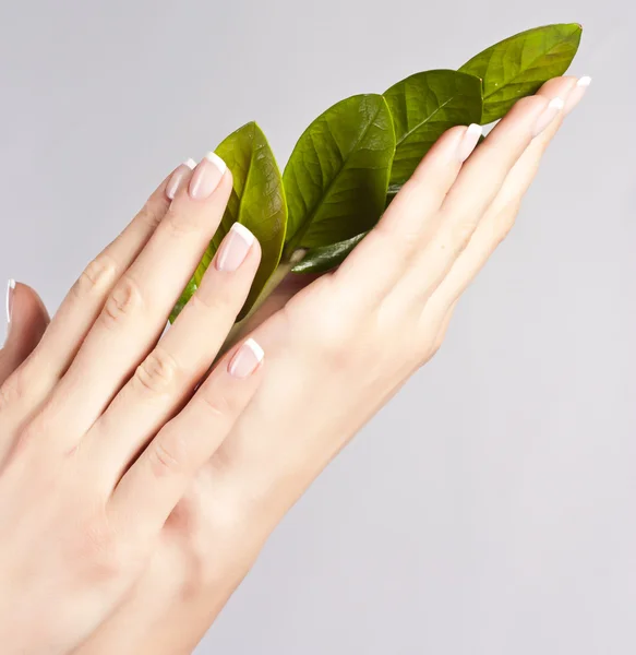 Hermosas manos con uñas de manicura francesa —  Fotos de Stock