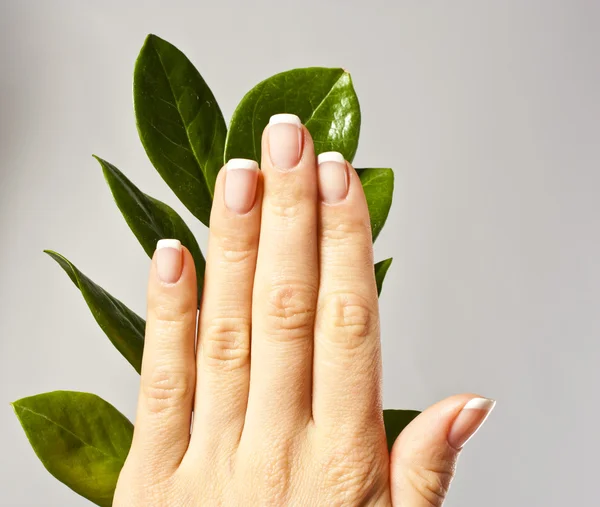 Beautiful woman hands with french manicure — Stock Photo, Image