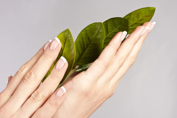 stock image Beautiful hands with French manicure nails