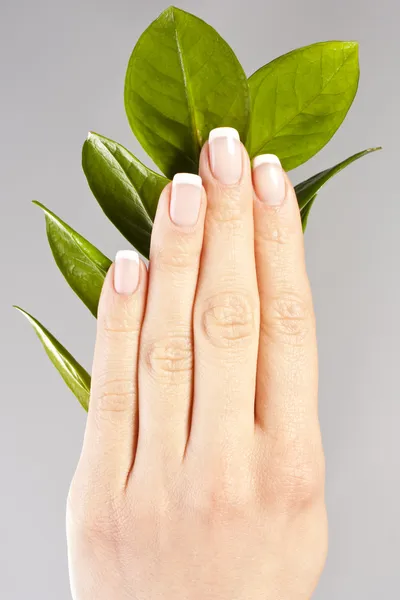 Schöne Hände mit französischen Maniküre-Nägeln Stockbild
