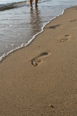 Traces on sand on beach of Baltic sea clipart