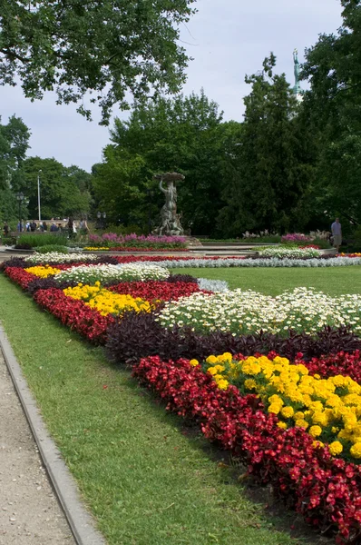 Blomster i byparken i centrum af Riga - Stock-foto