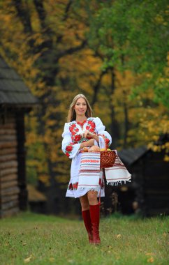 Beautiful young woman in Ukrainian costume clipart