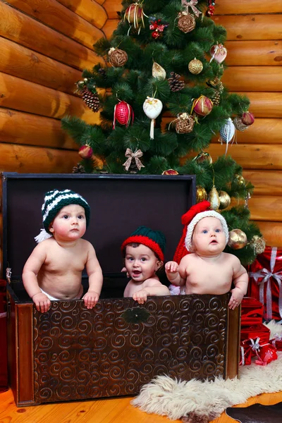 Three babies in xmas hats inside large chest — Stock Photo, Image