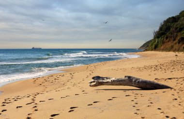 Irakli beach on the Bulgarian Black Sea Coast clipart