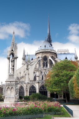 notre dame'nın arka bakış