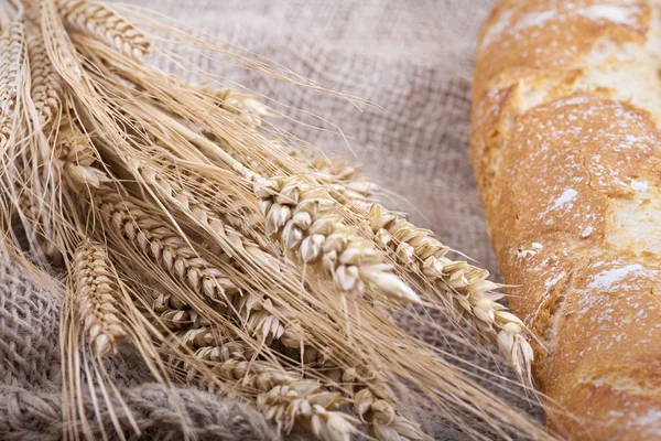 stock image Bread