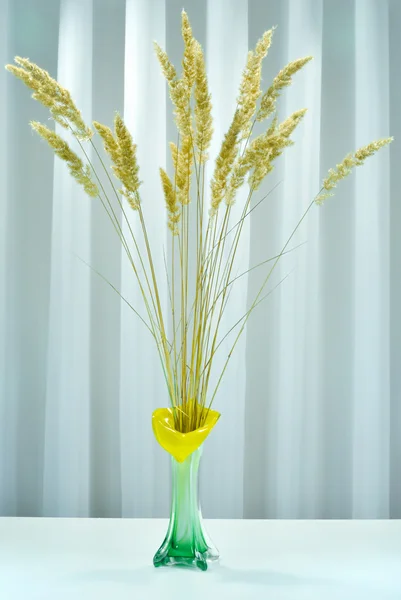 Yellow ears in the vase — Stock Photo, Image