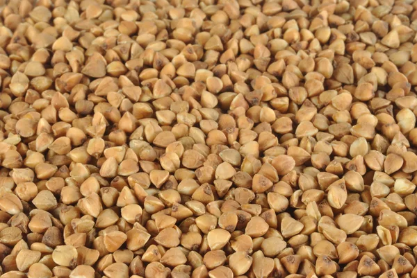 荞麦作为背景的沙粒 — 图库照片