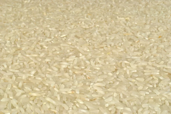 Зерно риса в качестве фона — стоковое фото