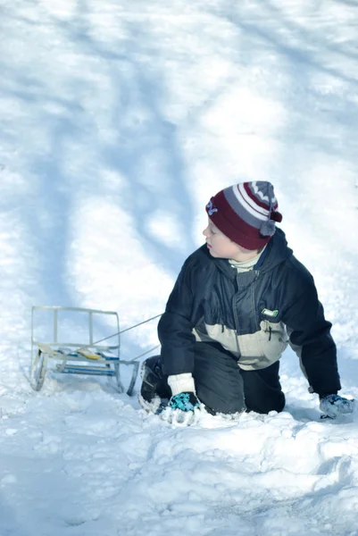 The boy with sled — Stock Photo, Image