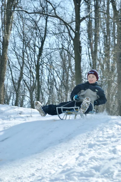 The boy goes down on sled — Stock Photo, Image
