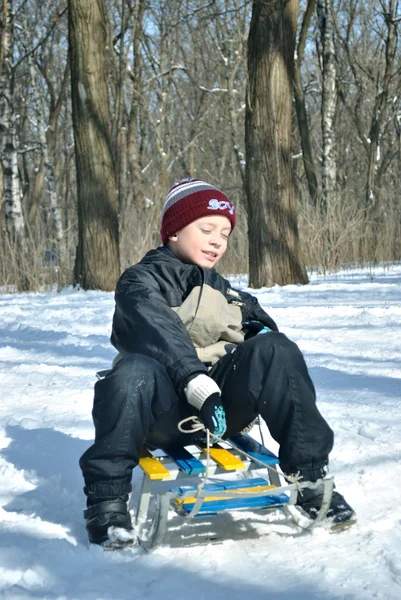 男孩与雪橇 图库图片