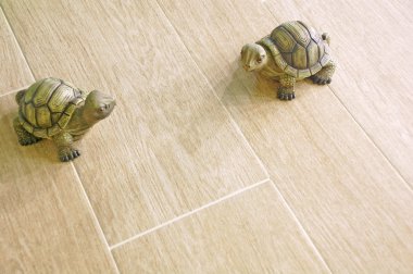 iki kaplumbağa modeli bir Karo seramik