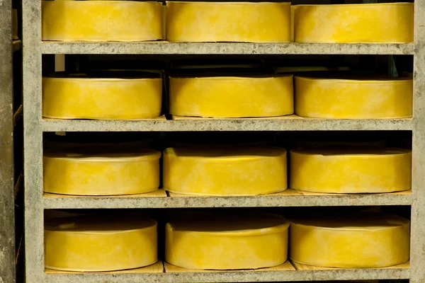 Stock image Cheese production