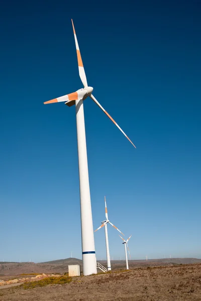 Rüzgar elektrik güç madeira Portekiz — Stok fotoğraf