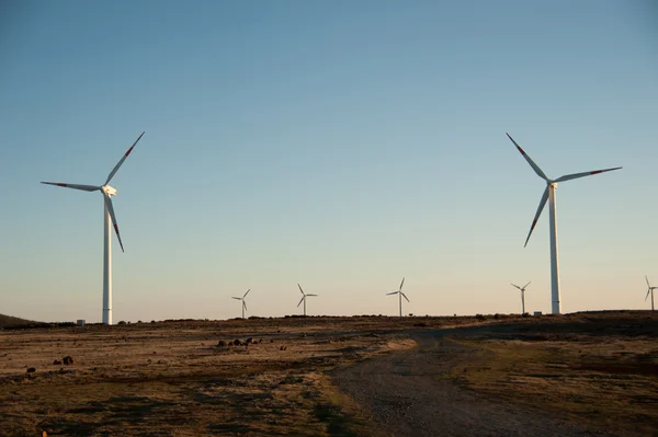 Rüzgar elektrik güç madeira Portekiz — Stok fotoğraf