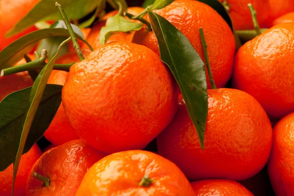 Mandarin orange fruits — Stock Photo, Image