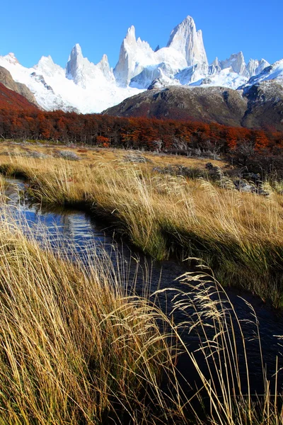 Красива природа краєвид з Mt. Fitz Roy як видно в Лос Ґласіарес Національний парк, Патагонії, Аргентина — стокове фото