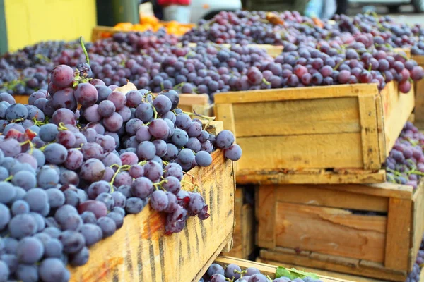 Uvas tintas en el mercado local en Valparaíso, Chile . —  Fotos de Stock