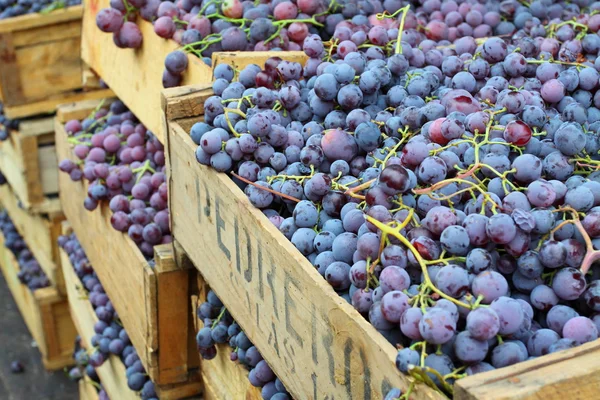 Rode druiven op de lokale markt in Valparaíso, Chili. — Stockfoto