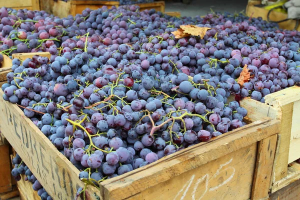 红葡萄在当地市场上的瓦尔帕莱索，智利. — 图库照片