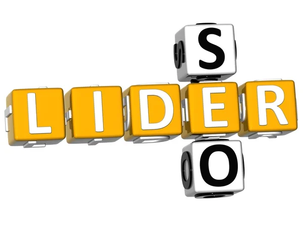 Crossword 3D Seo Lider — Foto Stock