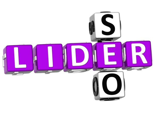 3D Seo Lider Crossword — Stock Photo, Image