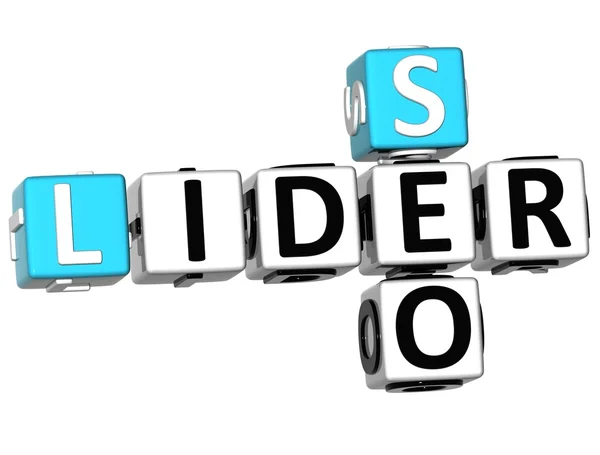 3D Seo Lider Crossword — Stock Photo, Image