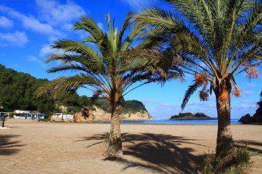 güzel küçük koyda Ibiza, baleares Adası, İspanya.