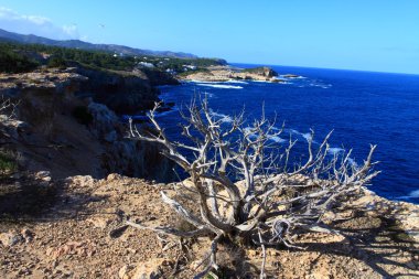 güzel küçük koyda Ibiza, baleares Adası, İspanya.