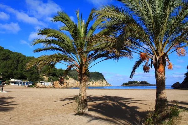 Bella piccola baia a Ibiza, Isole Baleari, Spagna . — Foto Stock