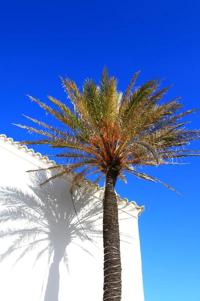 Igreja branca em Ibiza, Baleares, Espanha — Fotografia de Stock