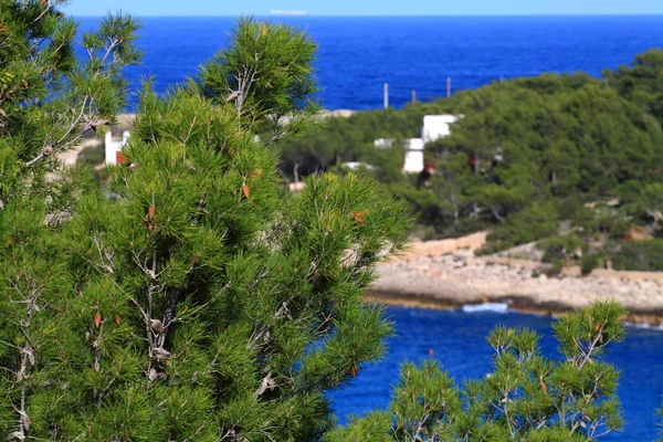 伊维萨，西班牙巴利阿里岛美丽小海湾. — 图库照片