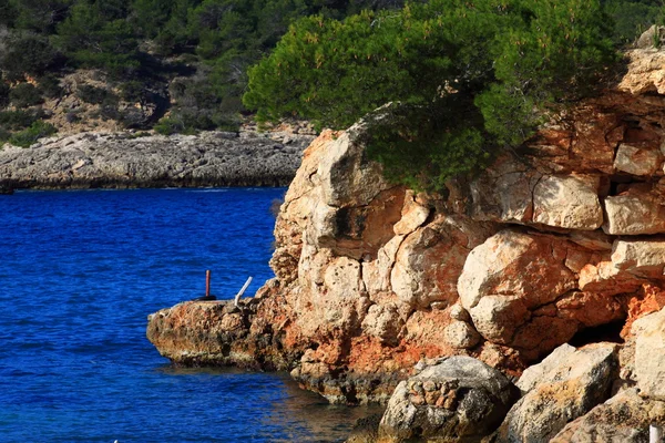 Güzel küçük koyda Ibiza, baleares Adası, İspanya. — Stok fotoğraf