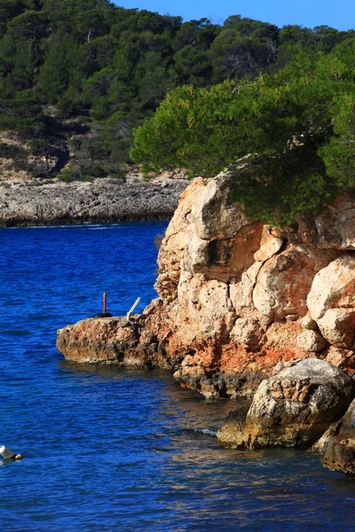 Ibiza バレアレス島、スペインの美しい小さな湾. — ストック写真