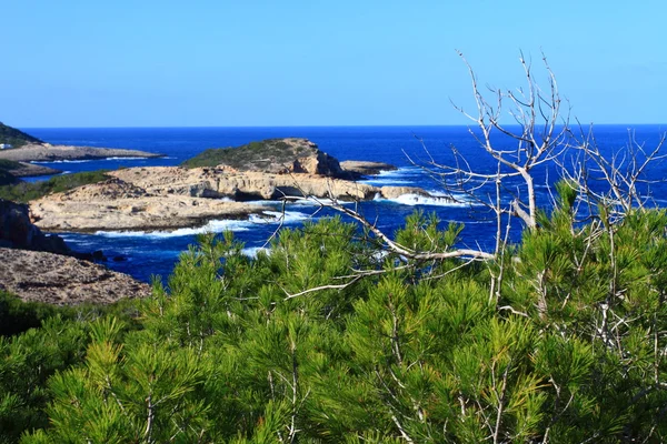 Baía pequena bonita em Ibiza, Ilha de Baleares, Espanha . — Fotografia de Stock